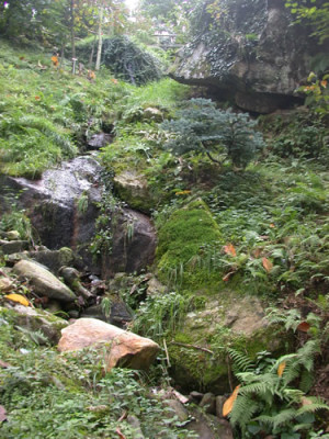 Gamborogno_30243_78.jpg
