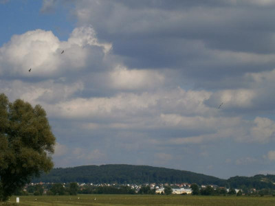Wemdinger Ried 027.JPG