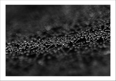 Tropfennetz_1_sw_15-10-2006.jpg