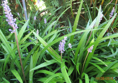 IMG_0465 small.jpg