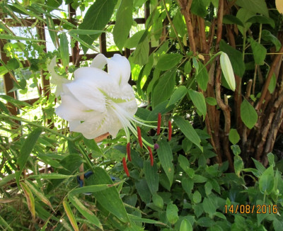 IMG_0467 small.jpg