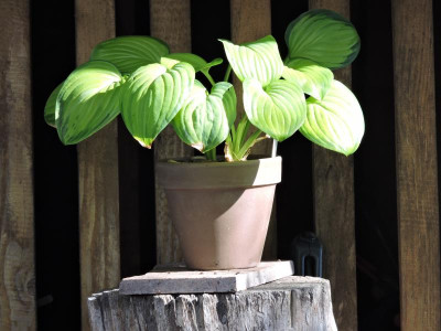 DSCN5576.JPG