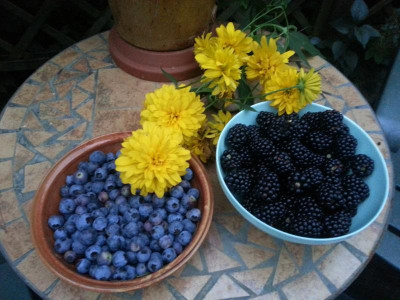 20160808_204229.jpg