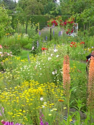 20040629_garten_01.jpg