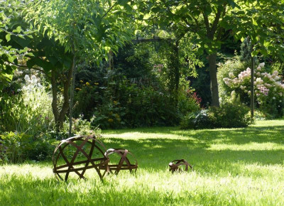2016-08-17 Gartenimpressionen 1.jpg