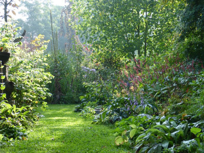 2016-08-20 Gartenimpressionen 4.jpg