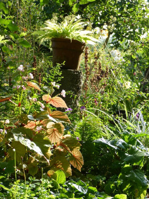 2016-08-20 Gartenimpressionen 5.jpg