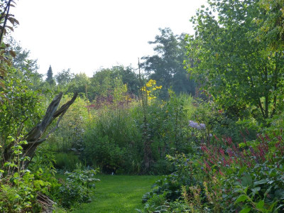2016-08-20 Gartenimpressionen 7.jpg
