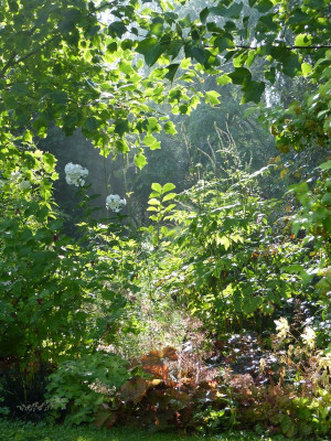 2016-08-20 Gartenimpressionen 8.jpg