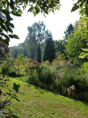 2016-08-20 Gartenimpressionen 11.jpg