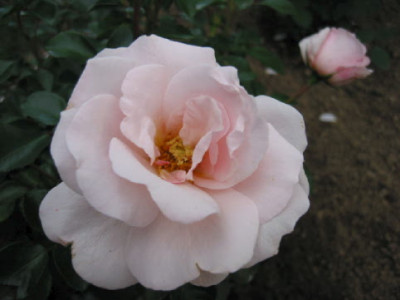 Queens_Palace_06.jpg
