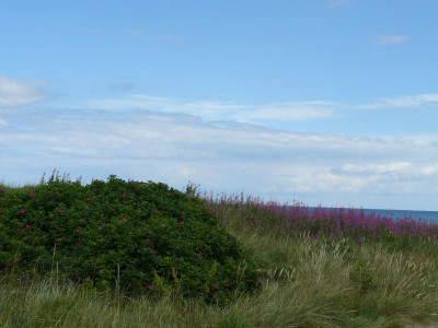 P1200512.JPG