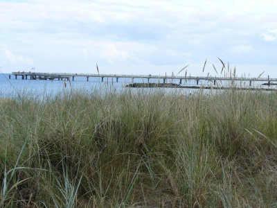 P1200526.JPG