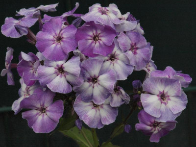 00161014.JPG