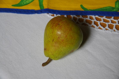 IMGP0714.JPG