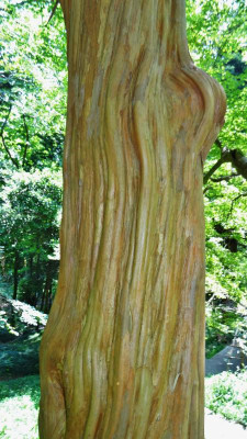 DSC01839.JPG