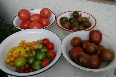August0308.jpg