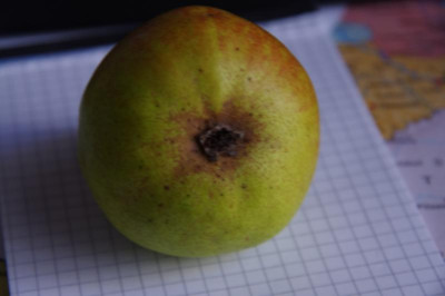 IMGP0717.JPG