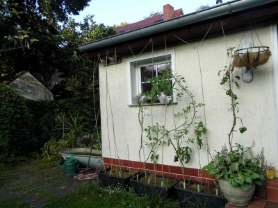 P1050039.JPG
