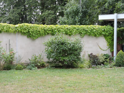 DSCN1620.JPG