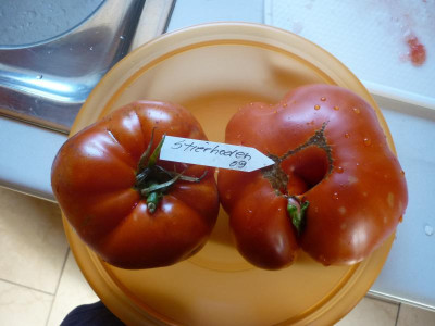 P1040450.JPG