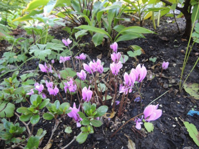 DSCN1235_1714.JPG
