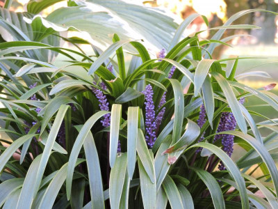 DSCN5699.JPG