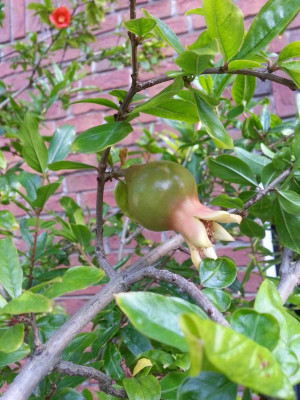 20160827_091403.jpg