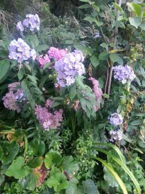 20160826_061753.jpg