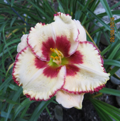 IMG_0586 small.jpg