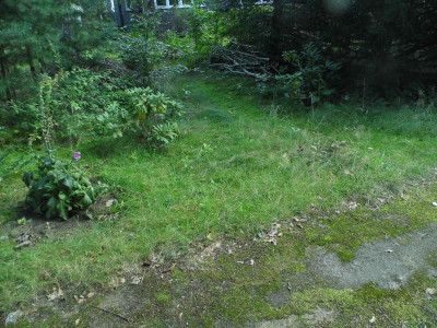 P1050064.JPG
