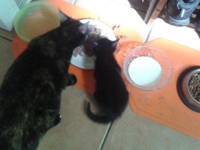 20160831_132143.jpg
