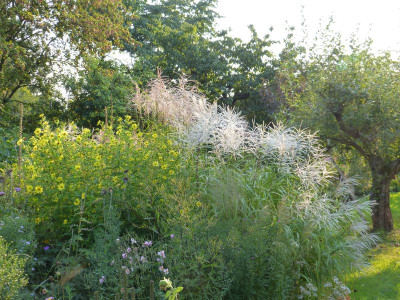 2016-09-01 Garteneinblick 2.jpg