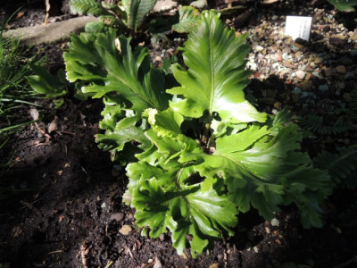 DSCN1246_1721.JPG