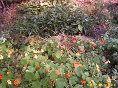 2006_1018Bild0034.JPG