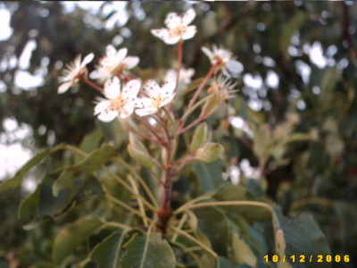 2006_1018Bild0011.JPG