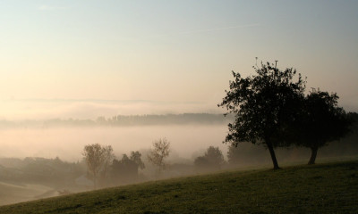 Blick-auf-Nebeldonau-3.jpg