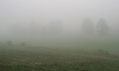 Morgennebel-166.jpg