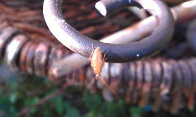 IMAG0427.jpg