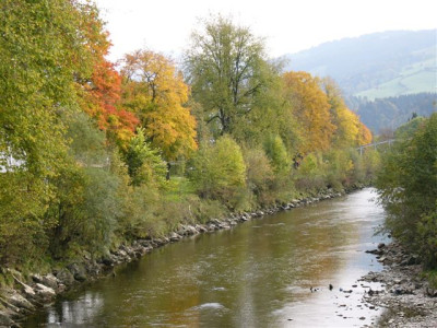 P1040877.JPG