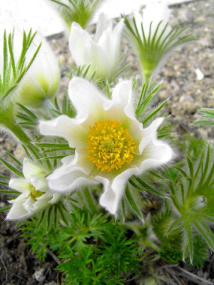 Kalenderb_3_1.jpg