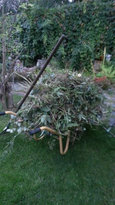 IMG-20160903-WA0009.jpeg