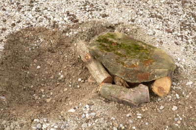 erde_kiesbeet_2015.jpg