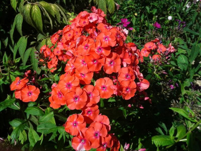 20160825_150022.jpg