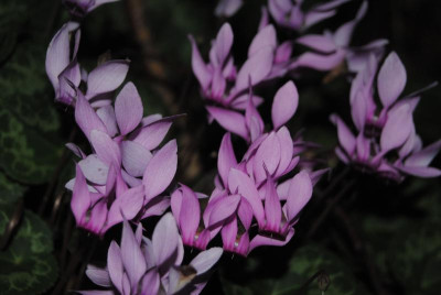 september 095.jpg