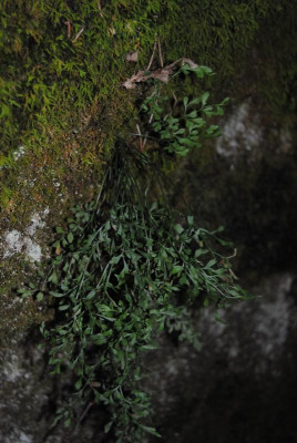 september 055.jpg
