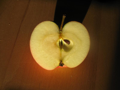 Apfel2-5.JPG