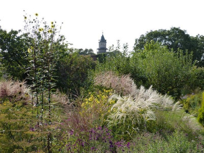 2016-09-09 Garteneinblick 1.jpg