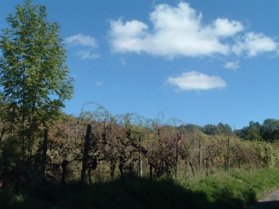 Oktoberwetter.jpg