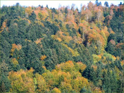 LOKAL_FR_2010_RI.jpg